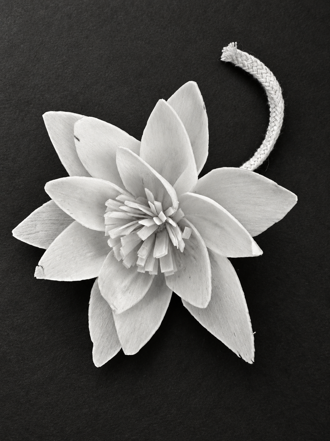 Handmade Sola Reed Flower