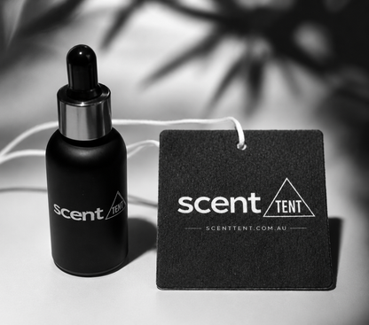 Car Air Freshener - Choose Your Own Scent and Reusable