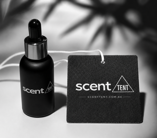 Car Air Freshener - Choose Your Own Scent and Reusable