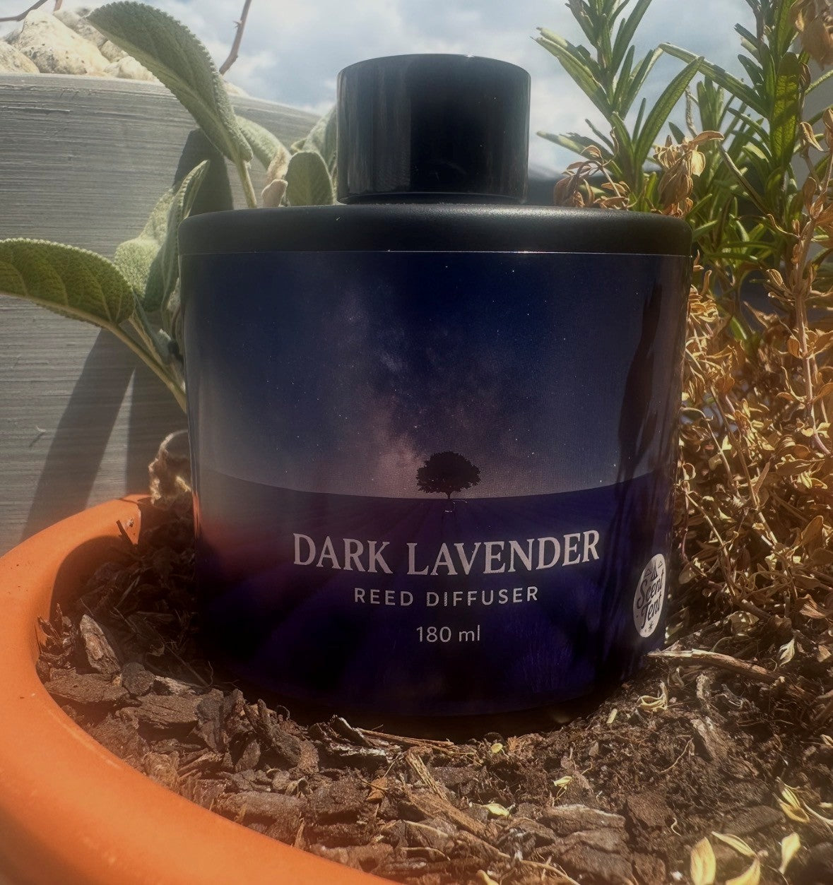 Dark Lavender & Amber Reed Diffuser – Classic Black Glass (180ml)