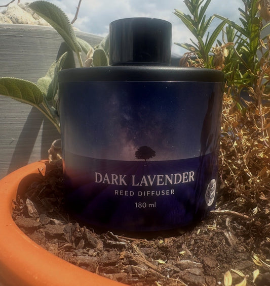 Dark Lavender & Amber Reed Diffuser – Classic Black Glass (180ml)