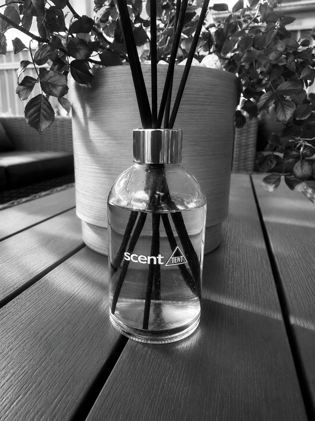 Deluxe Classic Clear Reed Diffuser - Choose your scent (160ml)
