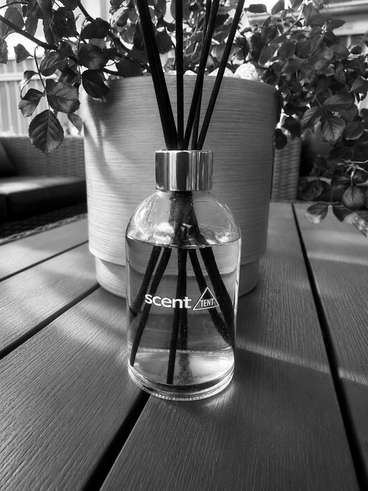 Deluxe Classic Clear Reed Diffuser - Choose your scent (160ml)
