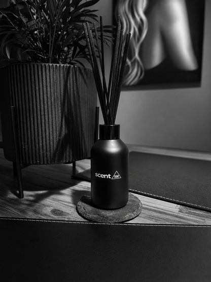 Compact Boston Black Reed Diffuser - Choose your scent (120ml)
