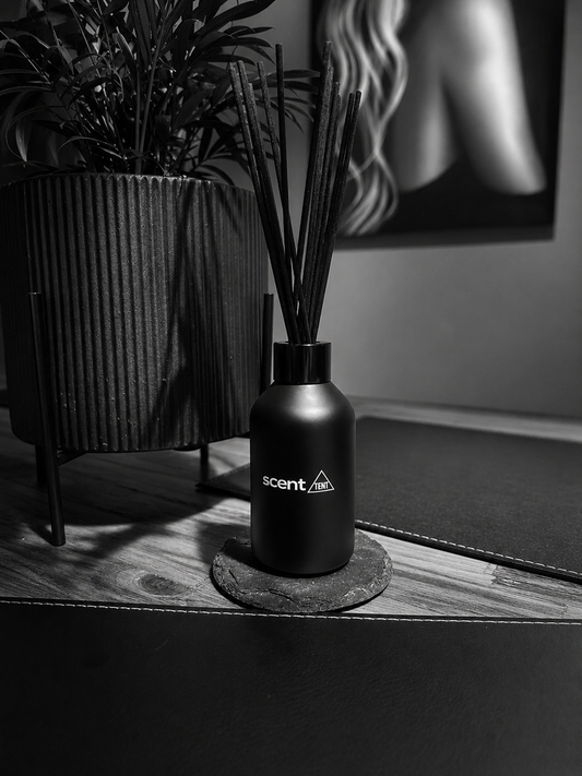 Compact Boston Black Reed Diffuser - Choose your scent (120ml)
